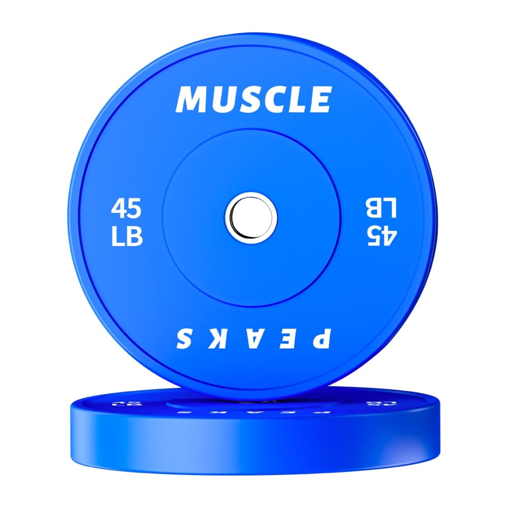 2 blue barbell disk 45LB