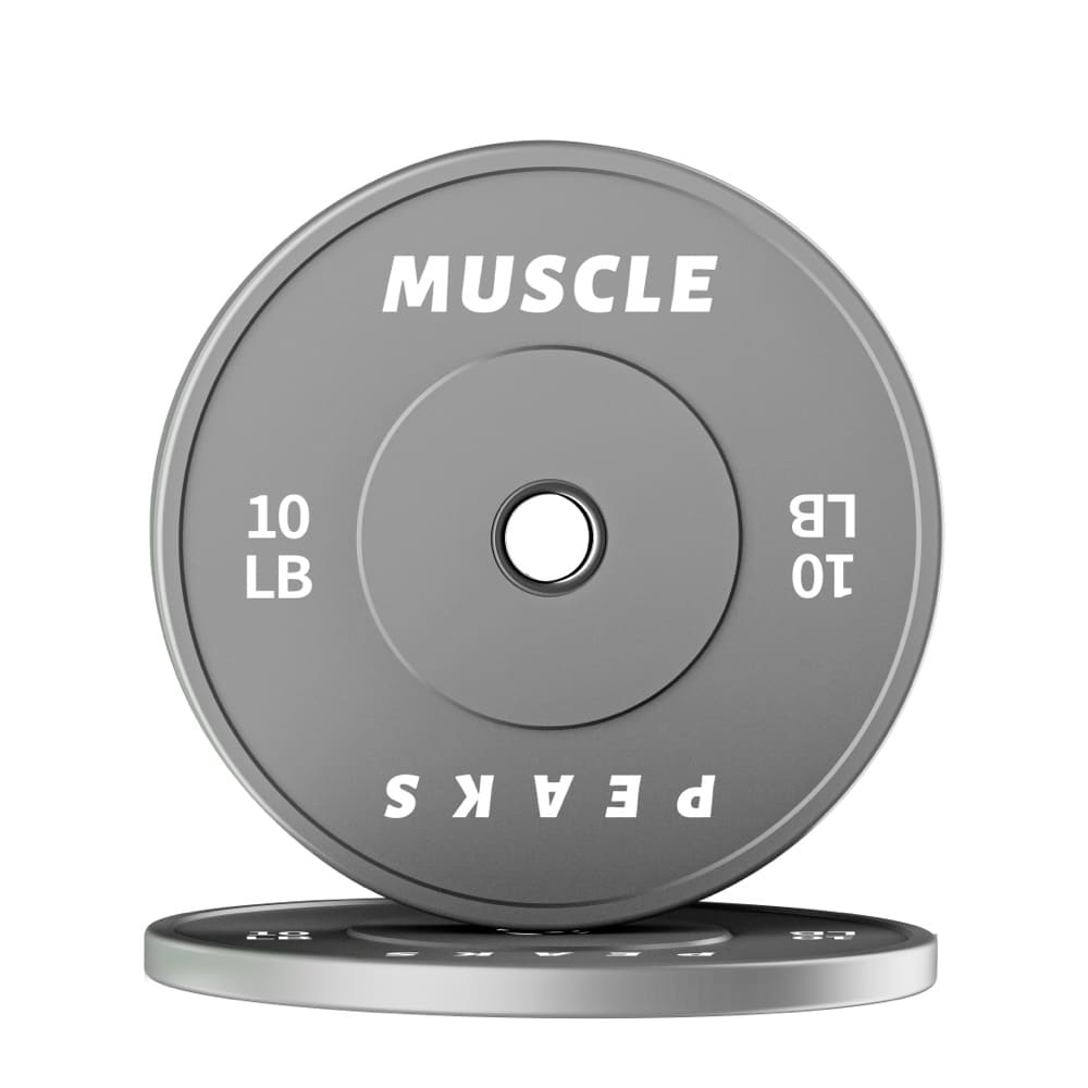 2 grey barbell disk 10LB