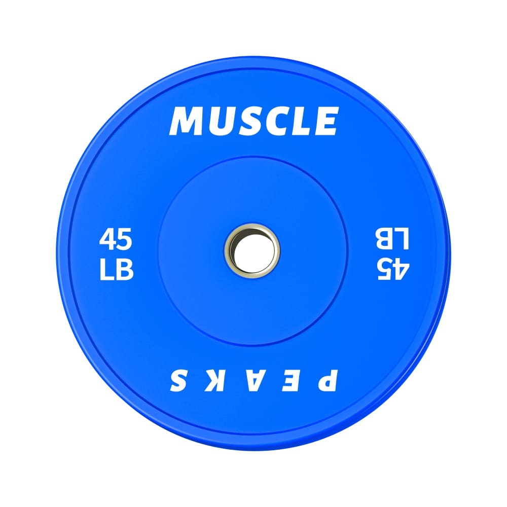 a gym blue barbell disk 45LB muscle peaks