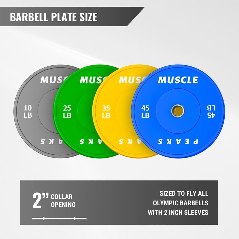 Barbell plate size 10LB 25LB 35LB 45LB