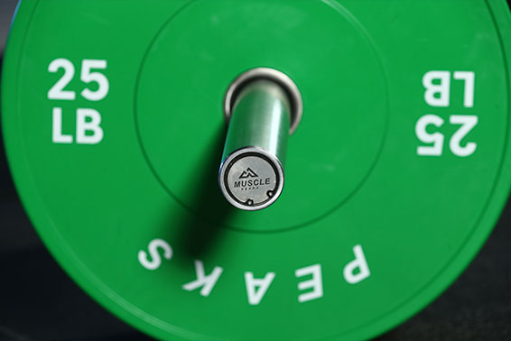 A barbell bar and plate
